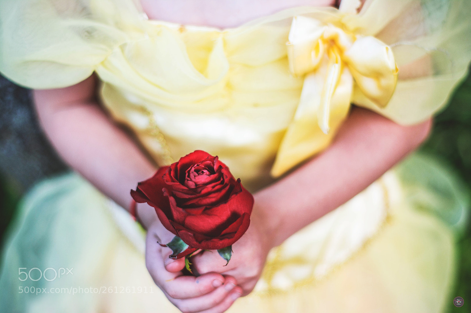 Nikon D7100 sample photo. Rose éternelle photography