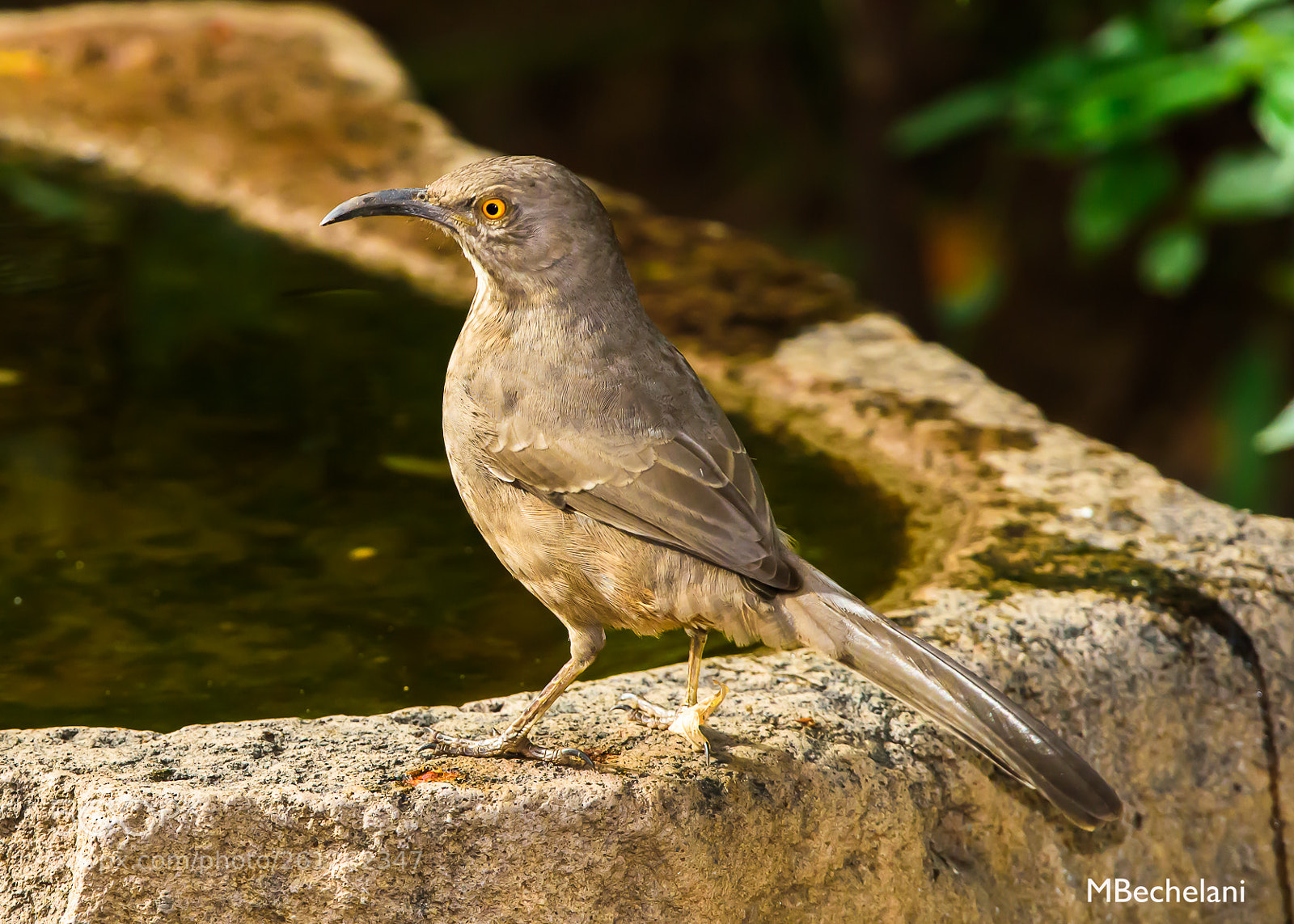 Nikon D810 sample photo. Mbs photography
