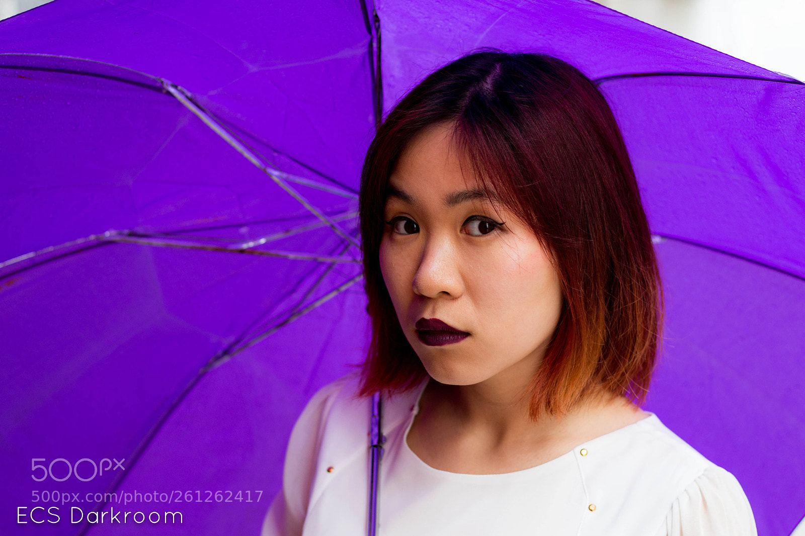 Canon EOS 100D (EOS Rebel SL1 / EOS Kiss X7) sample photo. Purples and yellows (3 of 9) photography