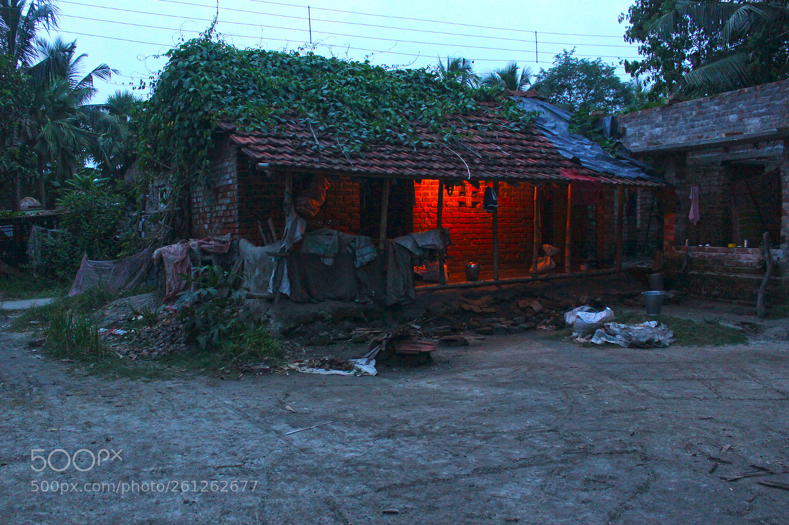 Canon EOS 60D sample photo. Img photography