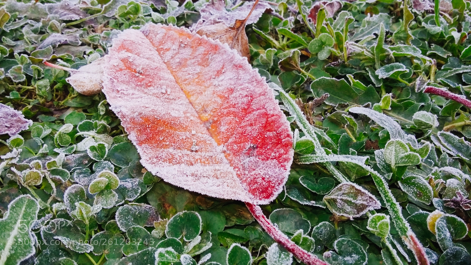 Samsung Galaxy Grand Prime sample photo. Cold photography
