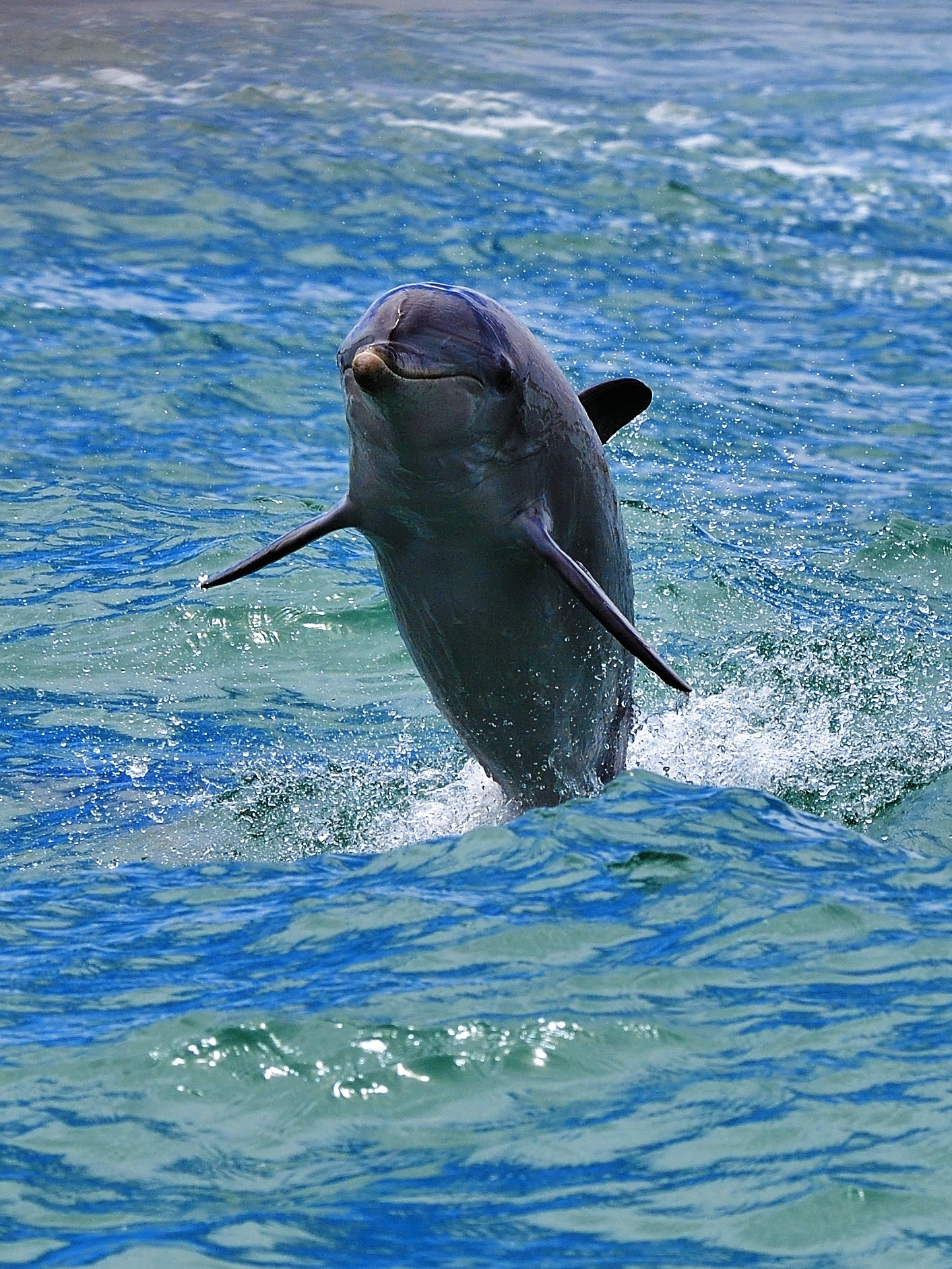 Nikon D5 sample photo. Over the top photography