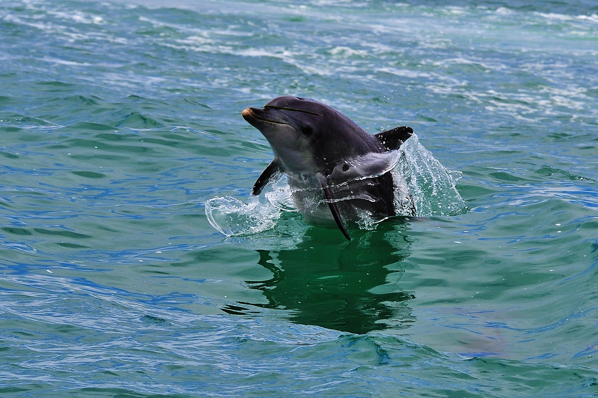 Nikon D5 sample photo. Break through photography