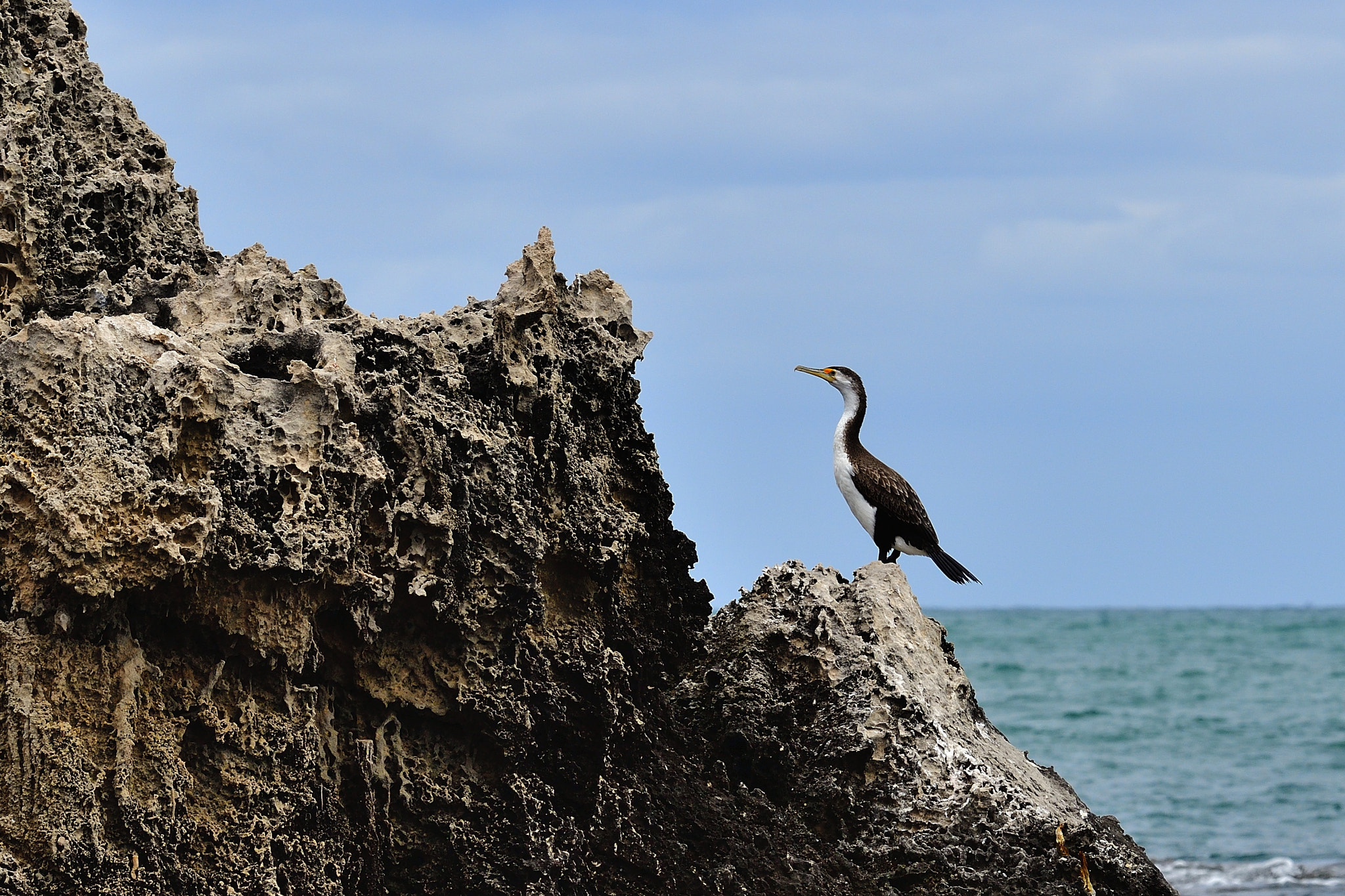 Nikon D5 sample photo. Outstanding photography