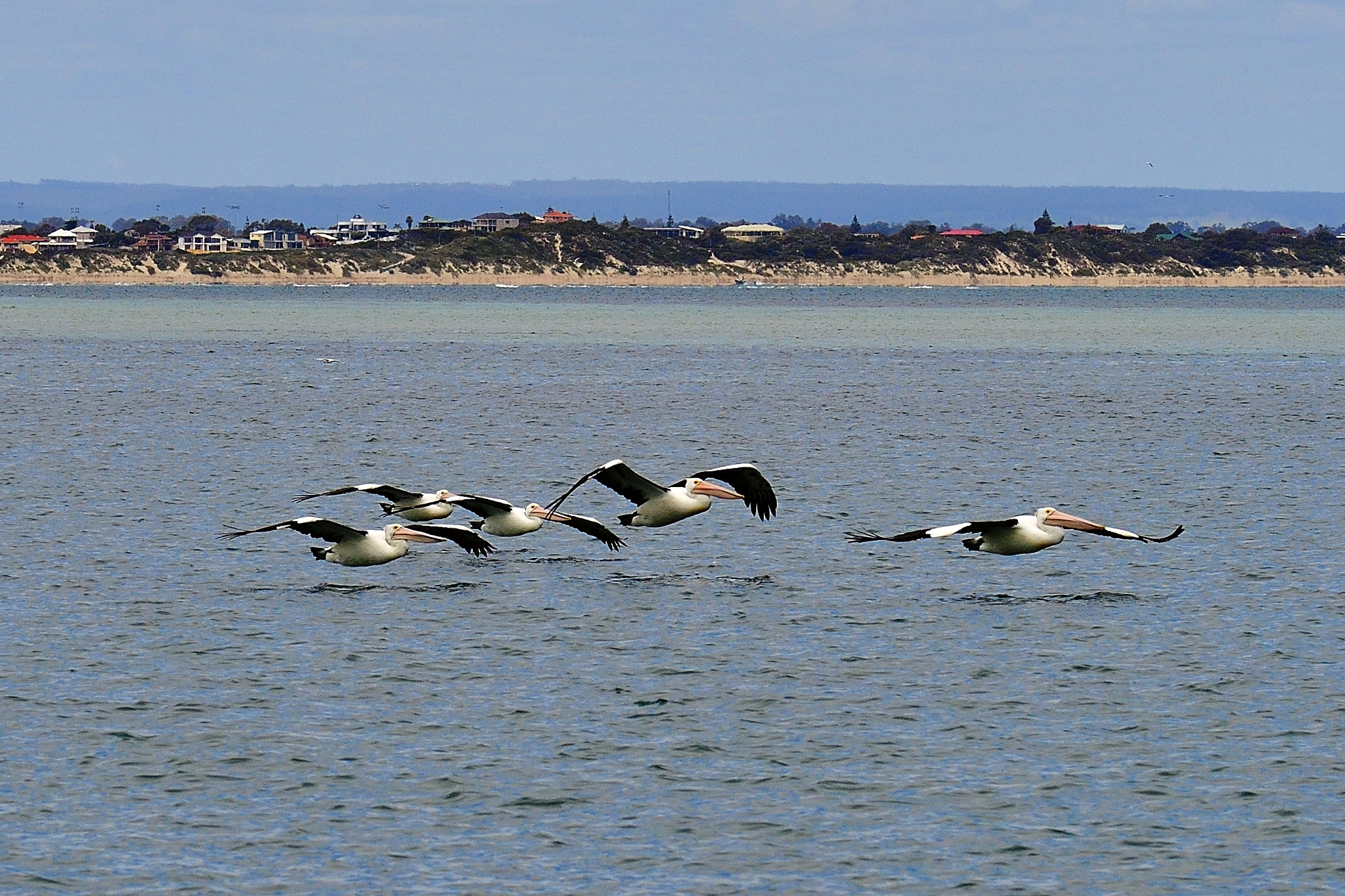 Nikon D5 sample photo. Gliding photography