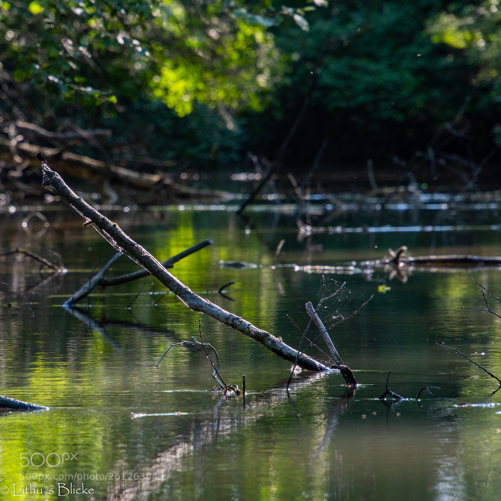 Nikon D7500 sample photo. Traun / upperaustria photography