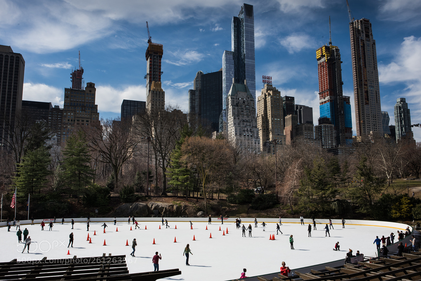 Nikon D810 sample photo. Central park photography
