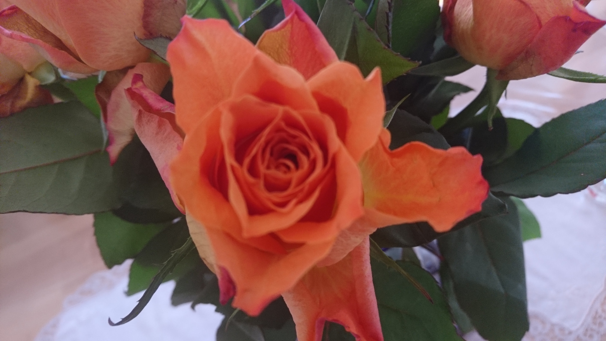 Sony Xperia X sample photo
