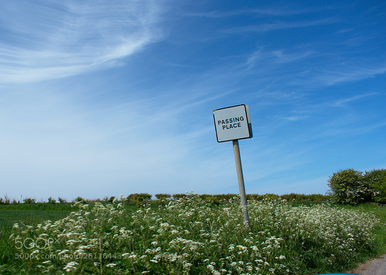 Nikon D3400 sample photo. East yorkshire photography