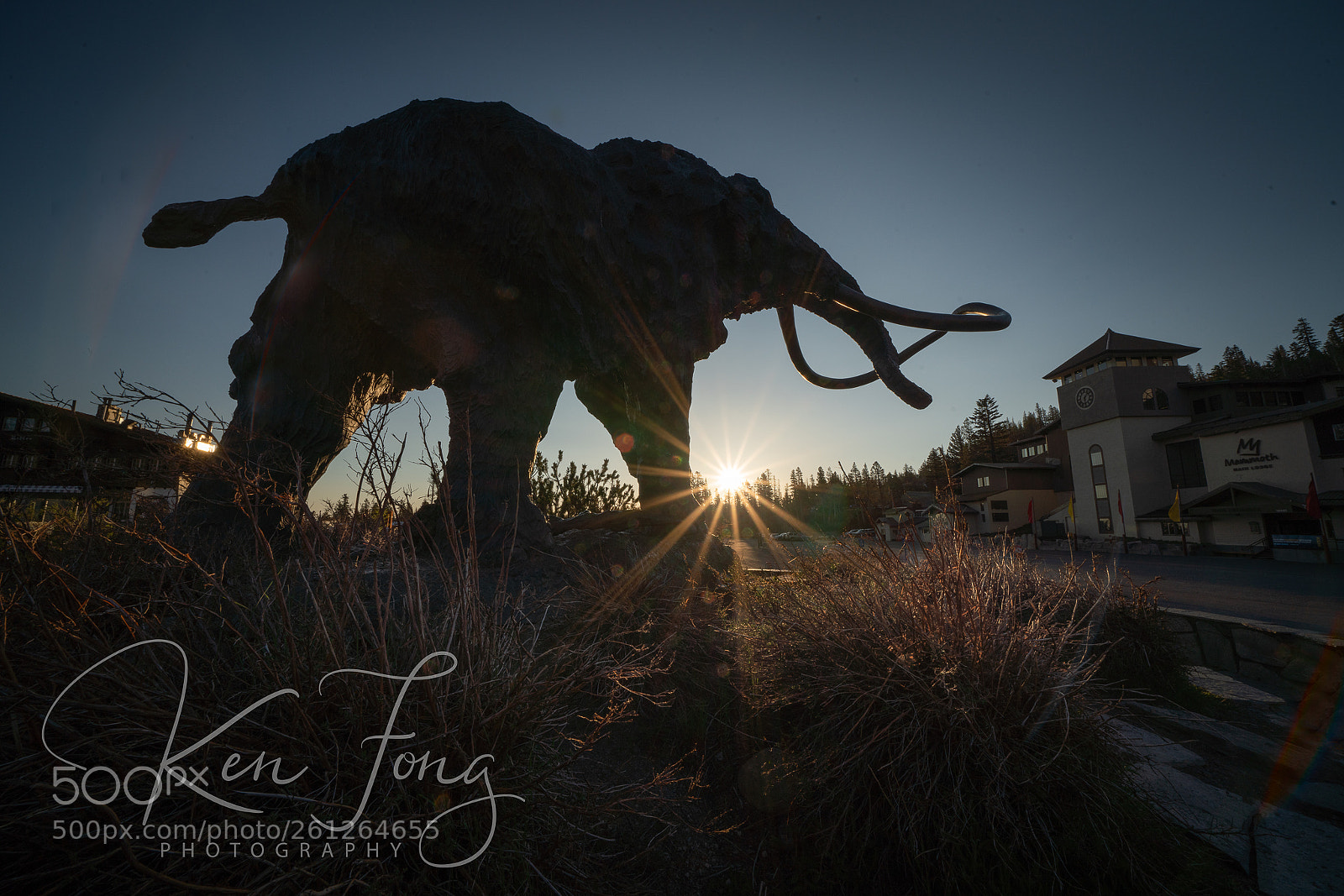 Sony a7R III sample photo. Mammoth at sunrise photography