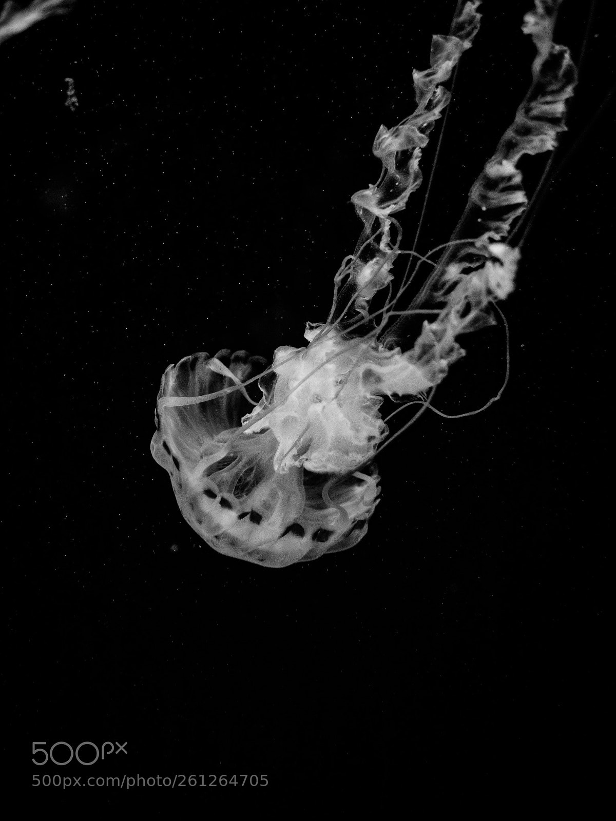 Panasonic Lumix DMC-GX8 sample photo. Into the abyss photography