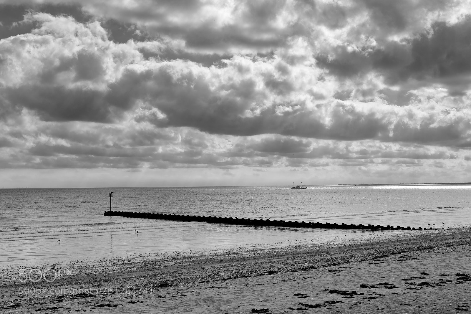 Fujifilm X-Pro2 sample photo. Yorkshire belle heading home. photography