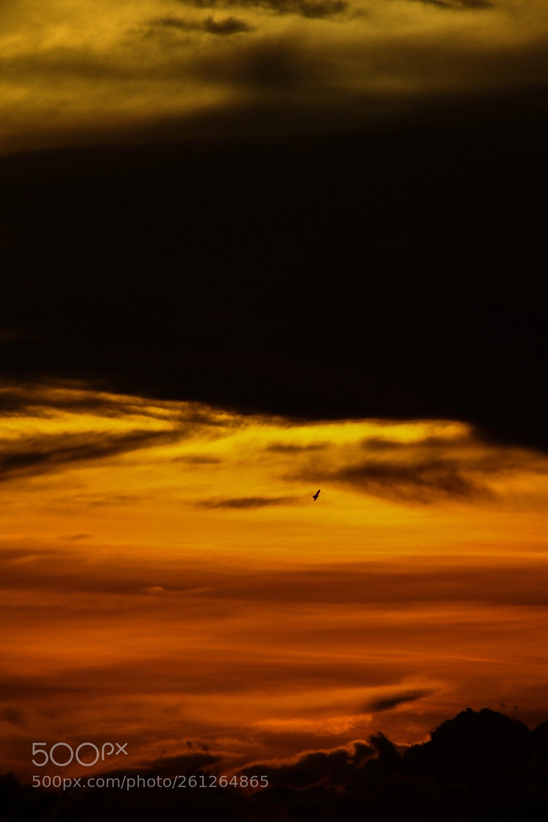 Canon EOS 1200D (EOS Rebel T5 / EOS Kiss X70 / EOS Hi) sample photo. A dramatic sunset. photography