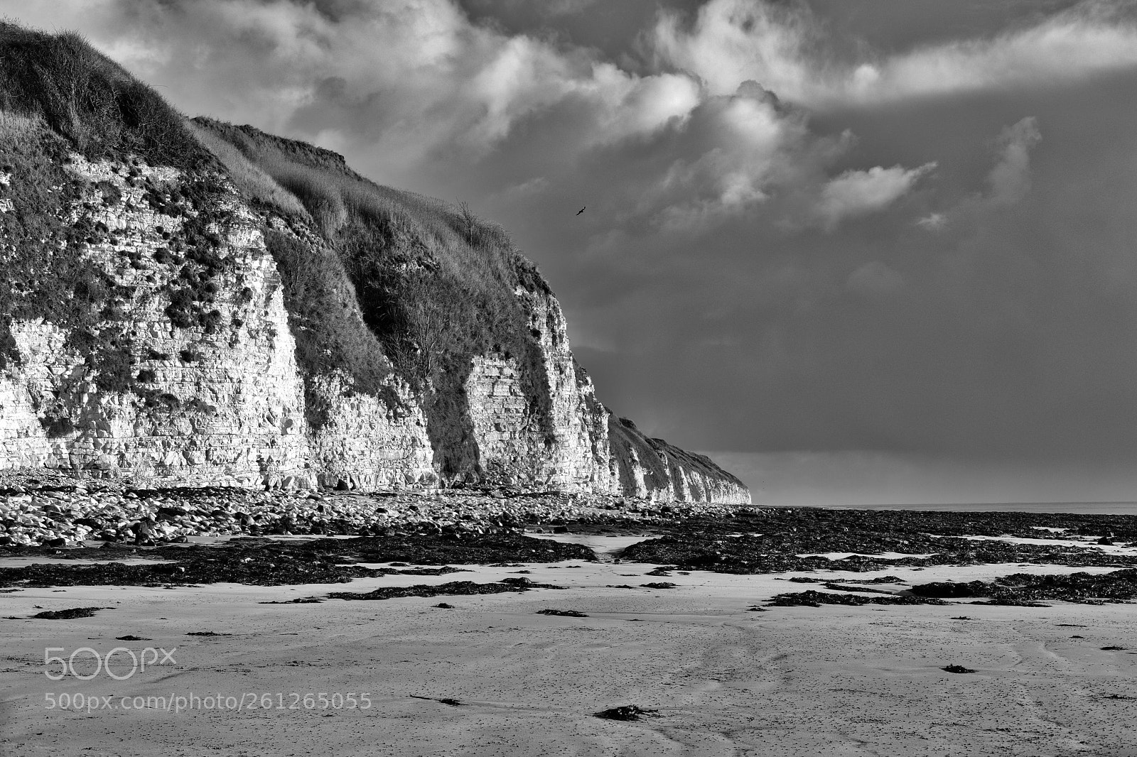 Fujifilm X-Pro2 sample photo. Flamborough headland. photography