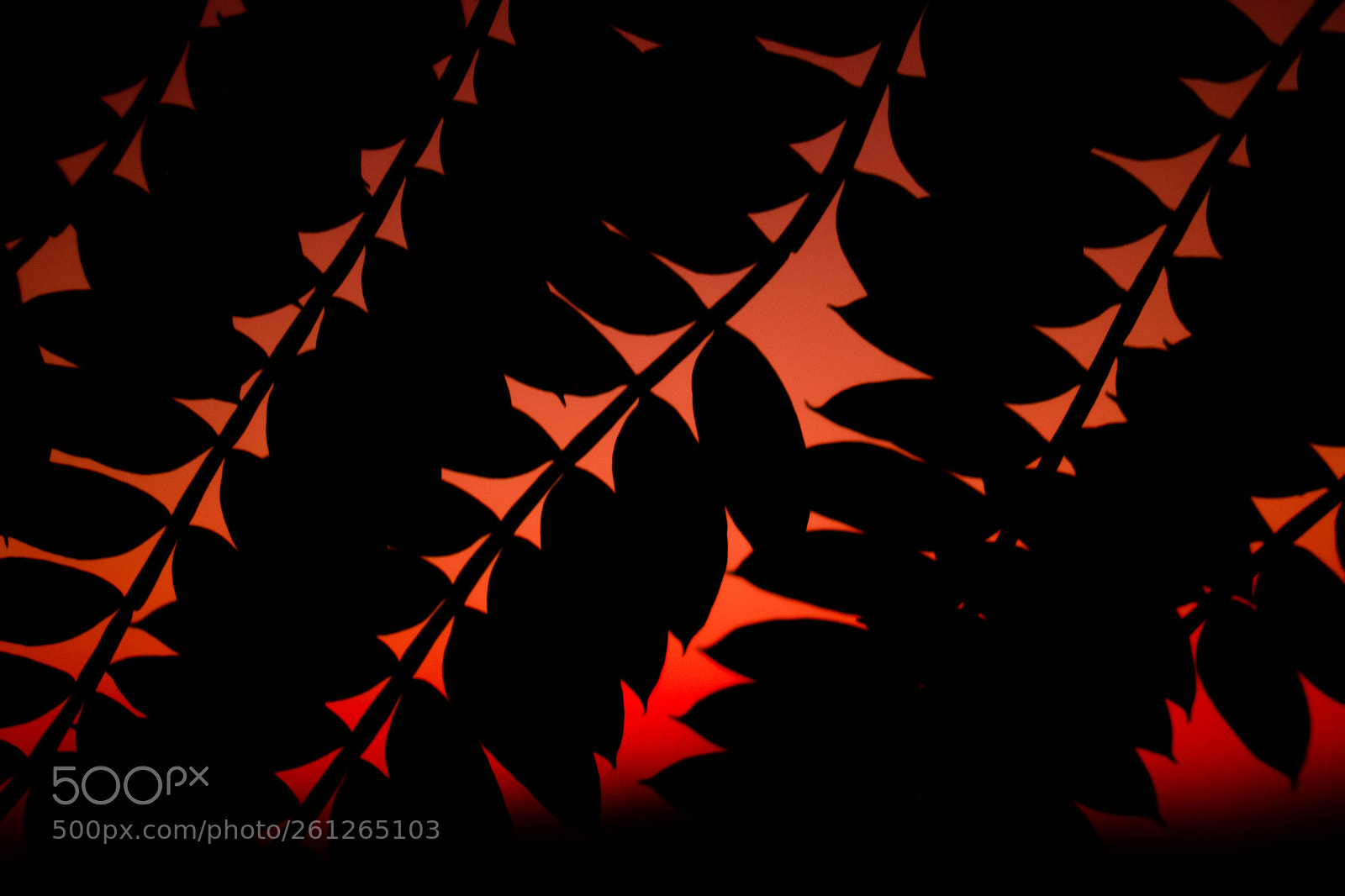 Canon EOS 750D (EOS Rebel T6i / EOS Kiss X8i) sample photo. Black leaves on red photography