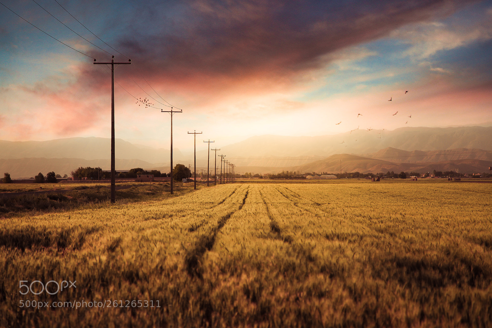 Canon EOS 5D Mark II sample photo. Untitled photography