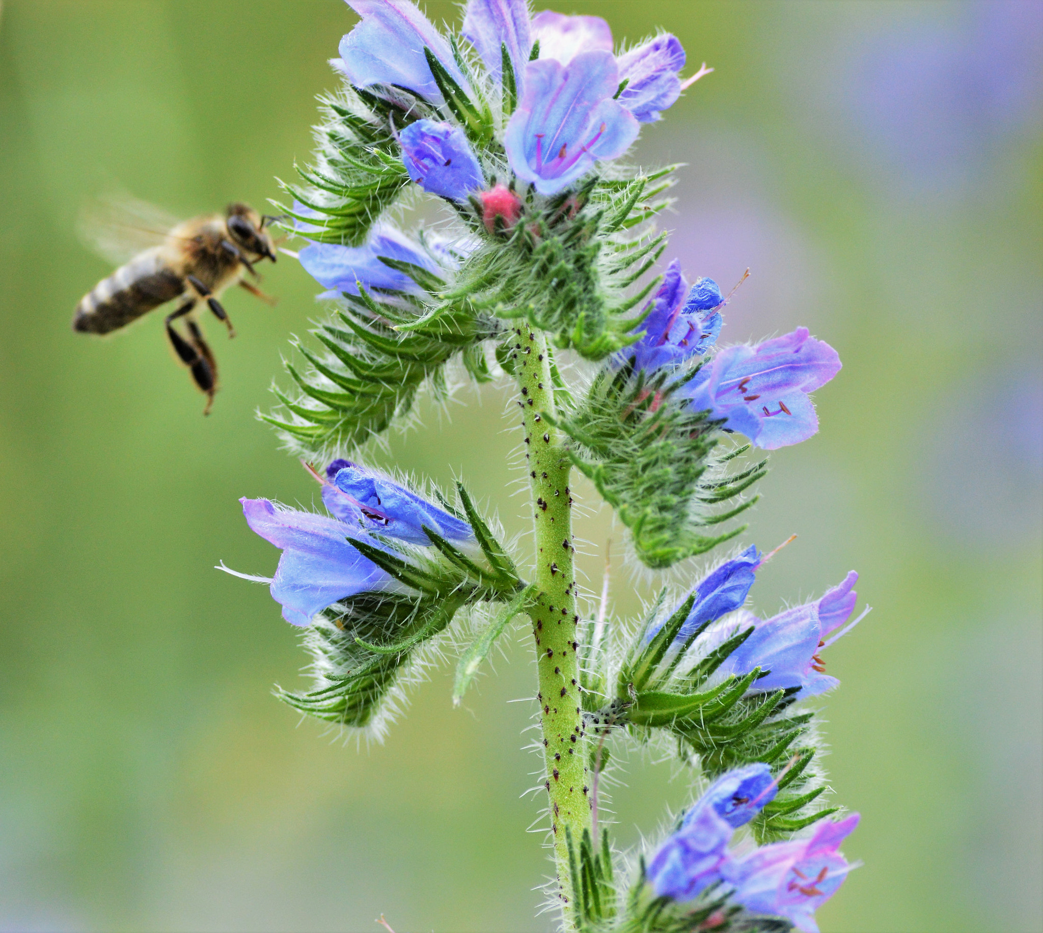Nikon D3200 sample photo