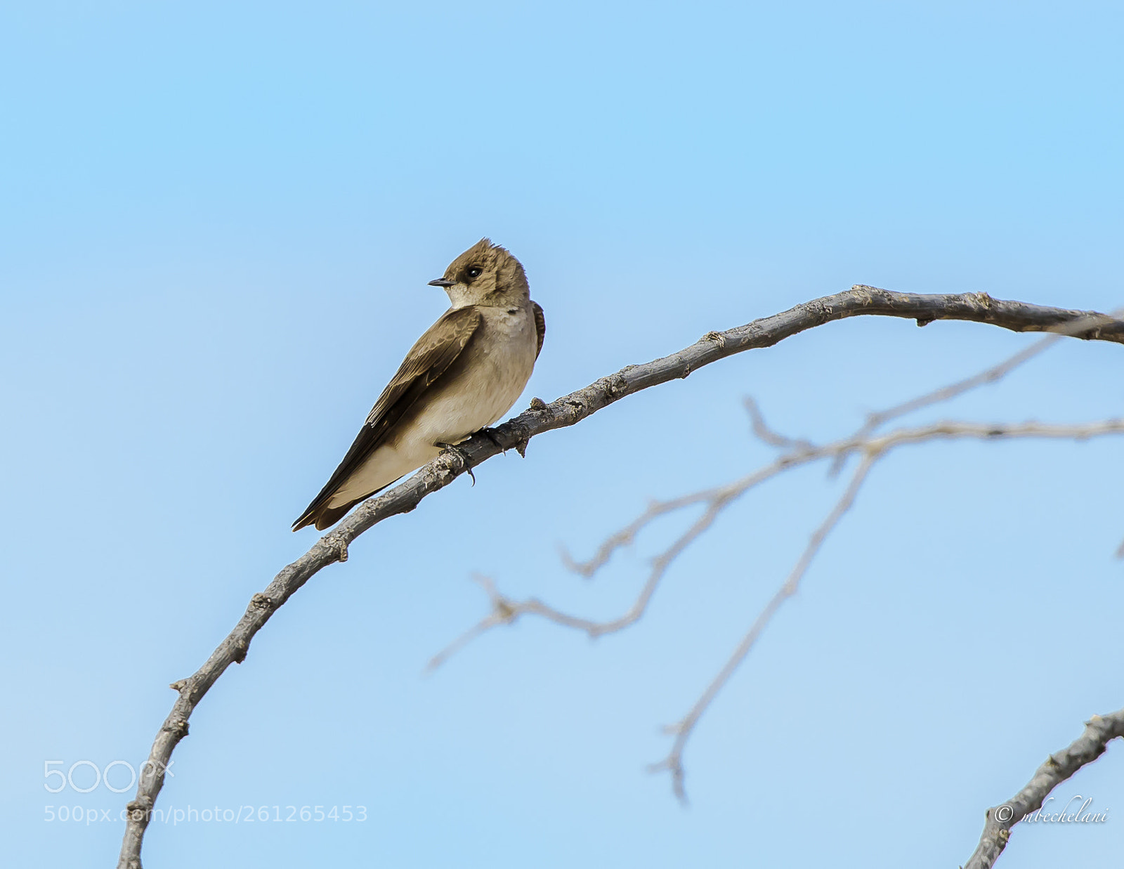 Nikon D810 sample photo. Mbs photography