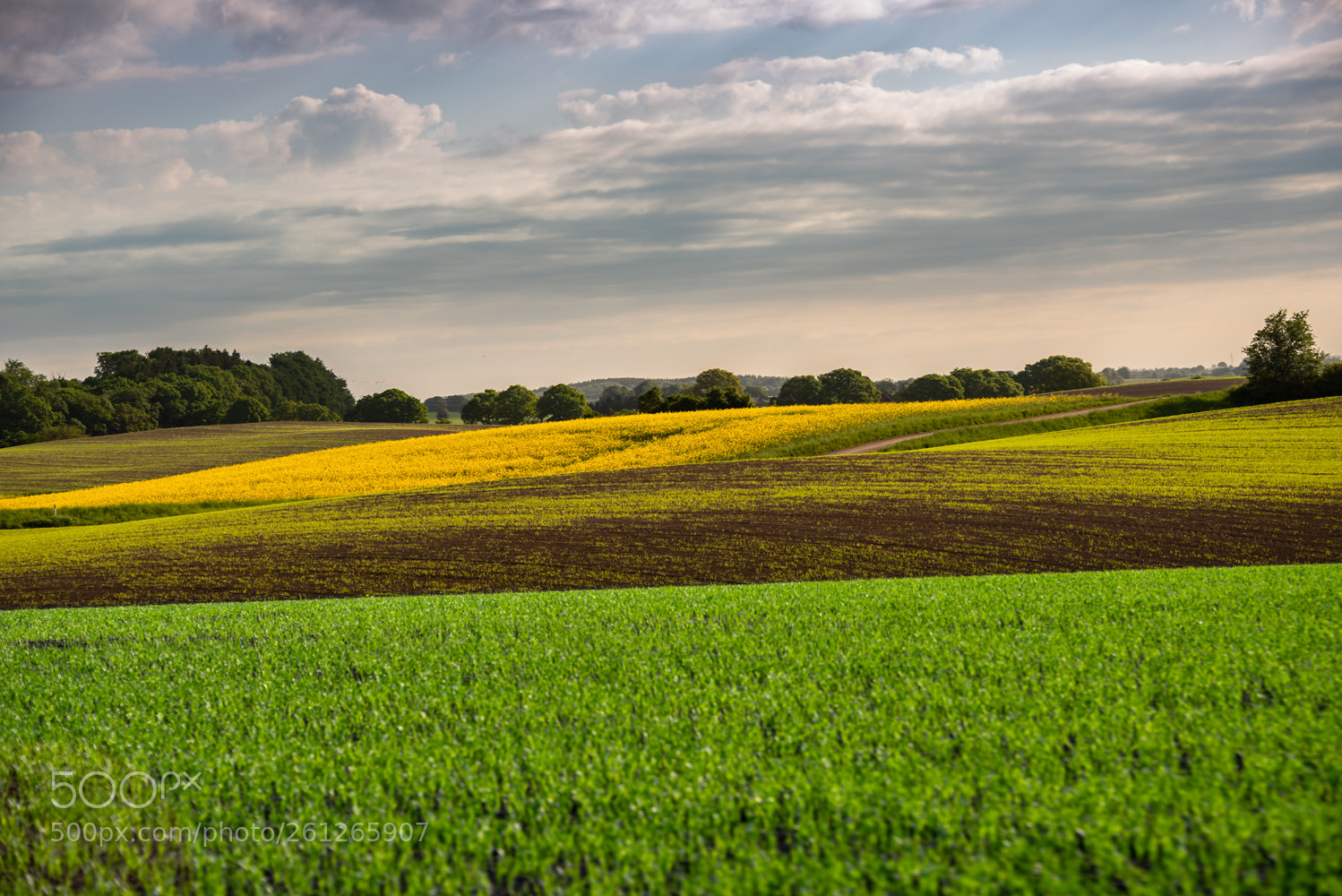 Nikon D750 sample photo. Scania-sweden photography