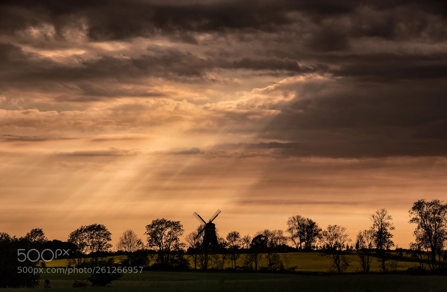 Nikon D750 sample photo. Windmill - scania (sweden) photography