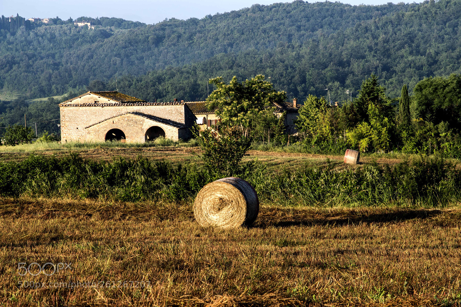 Pentax K-1 sample photo. Imgp photography