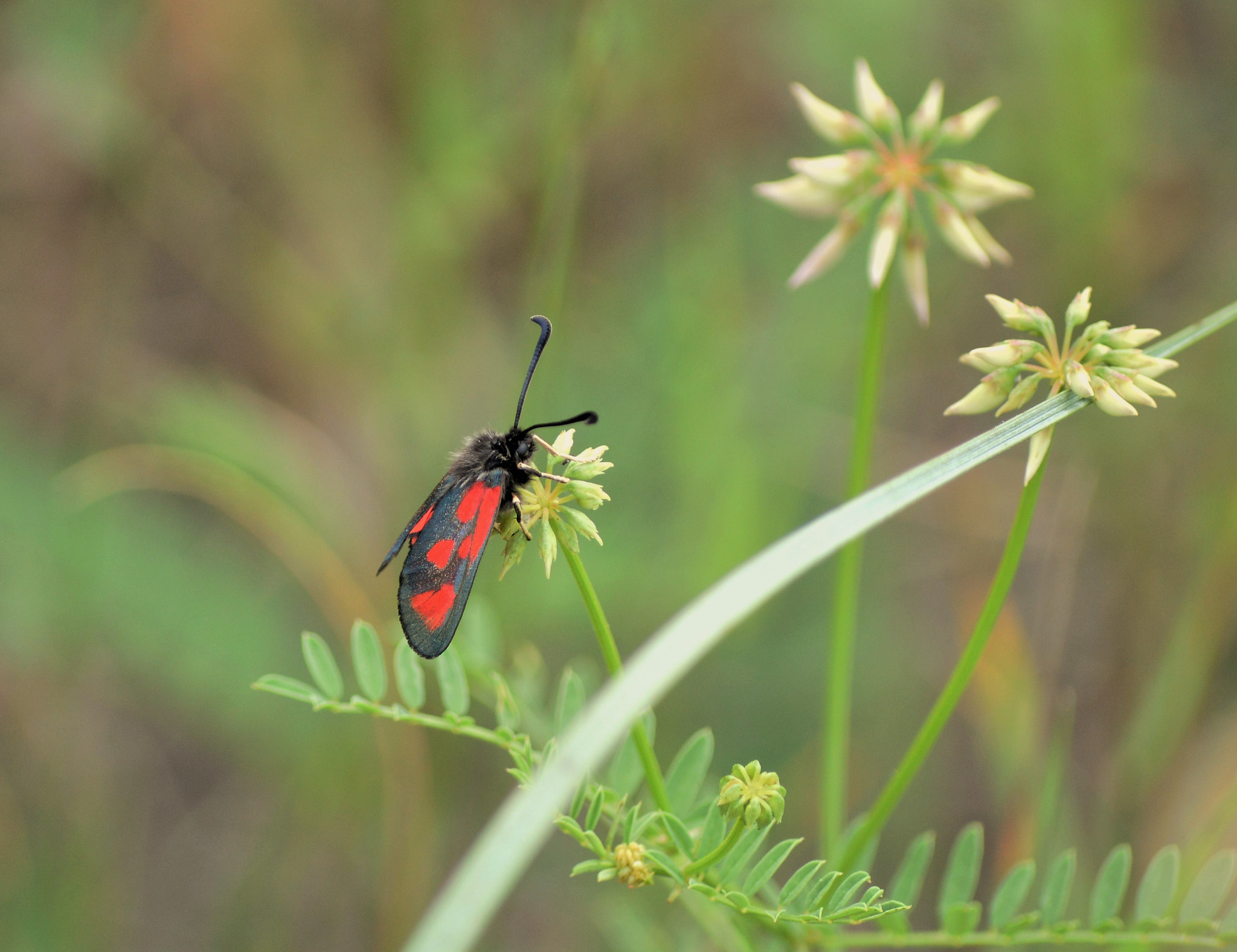 Nikon D3200 sample photo
