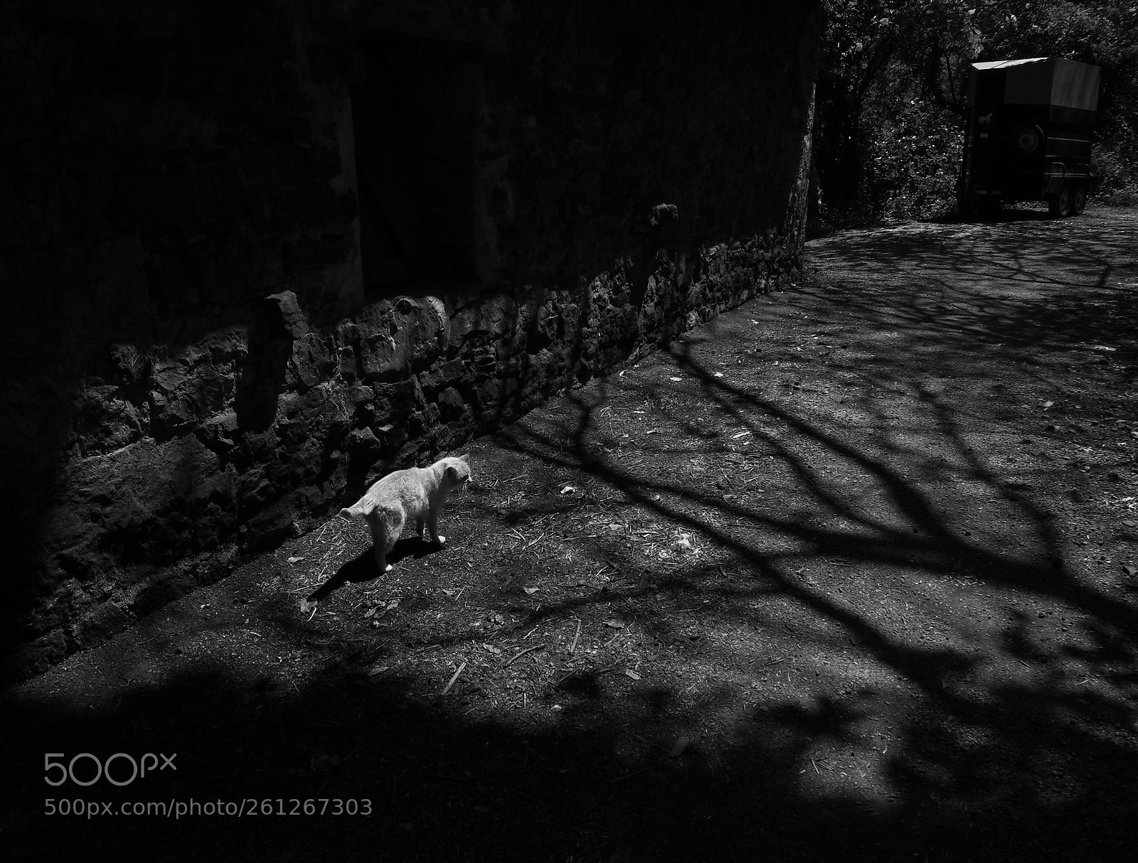 Olympus OM-D E-M10 II sample photo. Dualidad photography