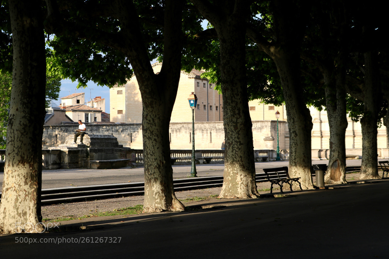 Canon EOS 750D (EOS Rebel T6i / EOS Kiss X8i) sample photo. French evening photography