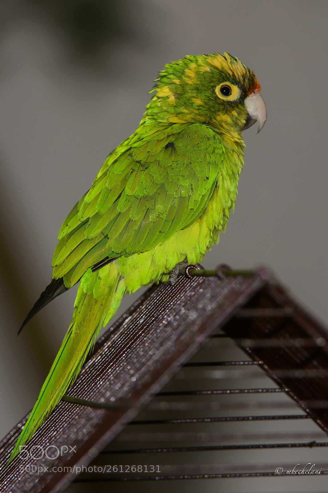 Nikon D850 sample photo. Dsc photography