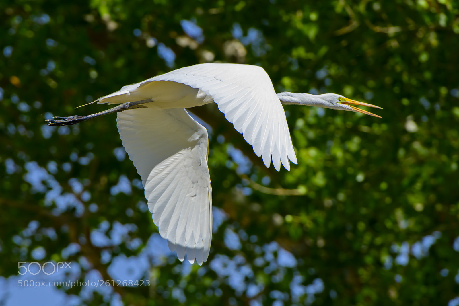 Nikon D850 sample photo. Dsc photography