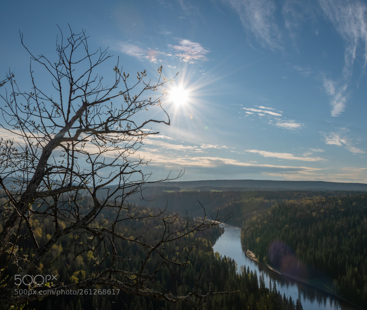 Nikon D5500 sample photo. Usva morning photography