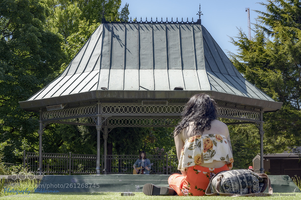 Nikon D800E sample photo. Summer photography