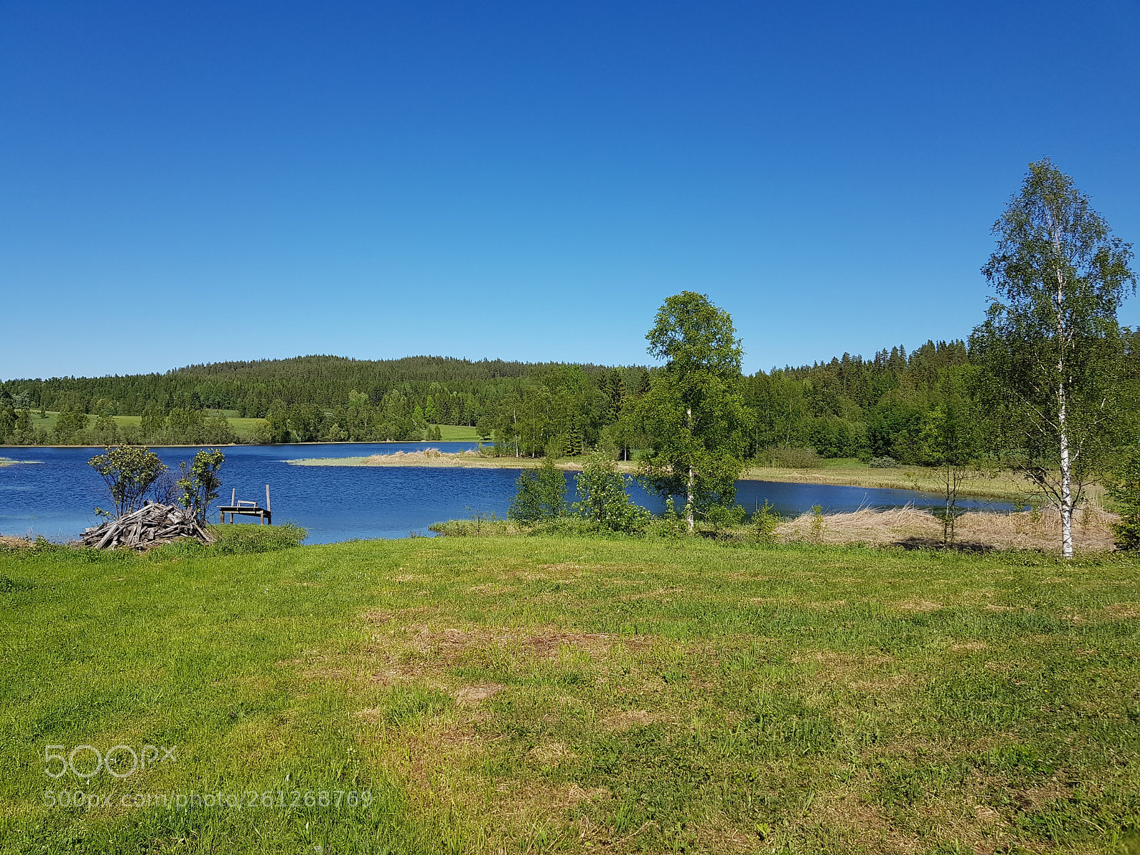 Samsung Galaxy S8+ sample photo. Early summer in fiskja photography