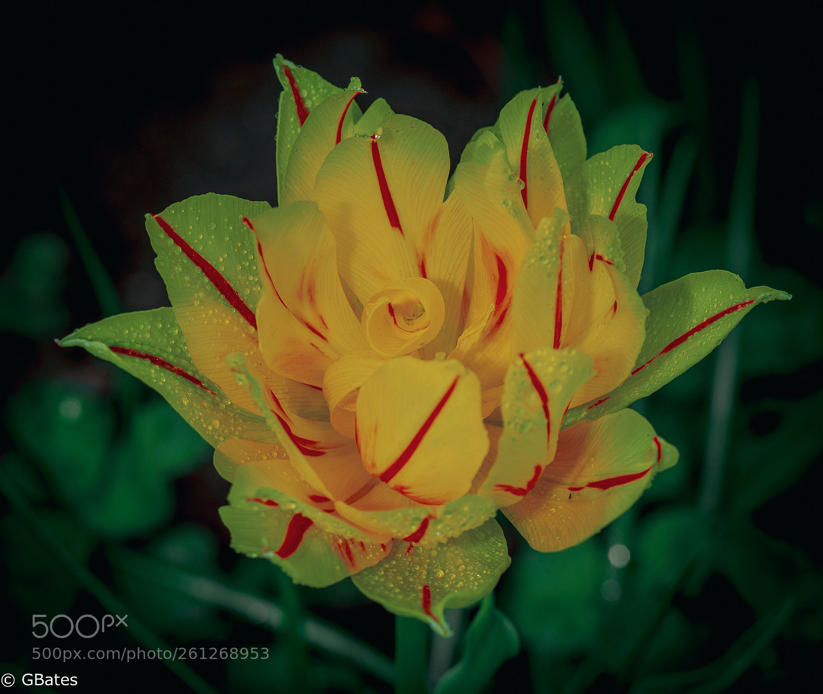 Canon EOS 6D sample photo. Color shift photography