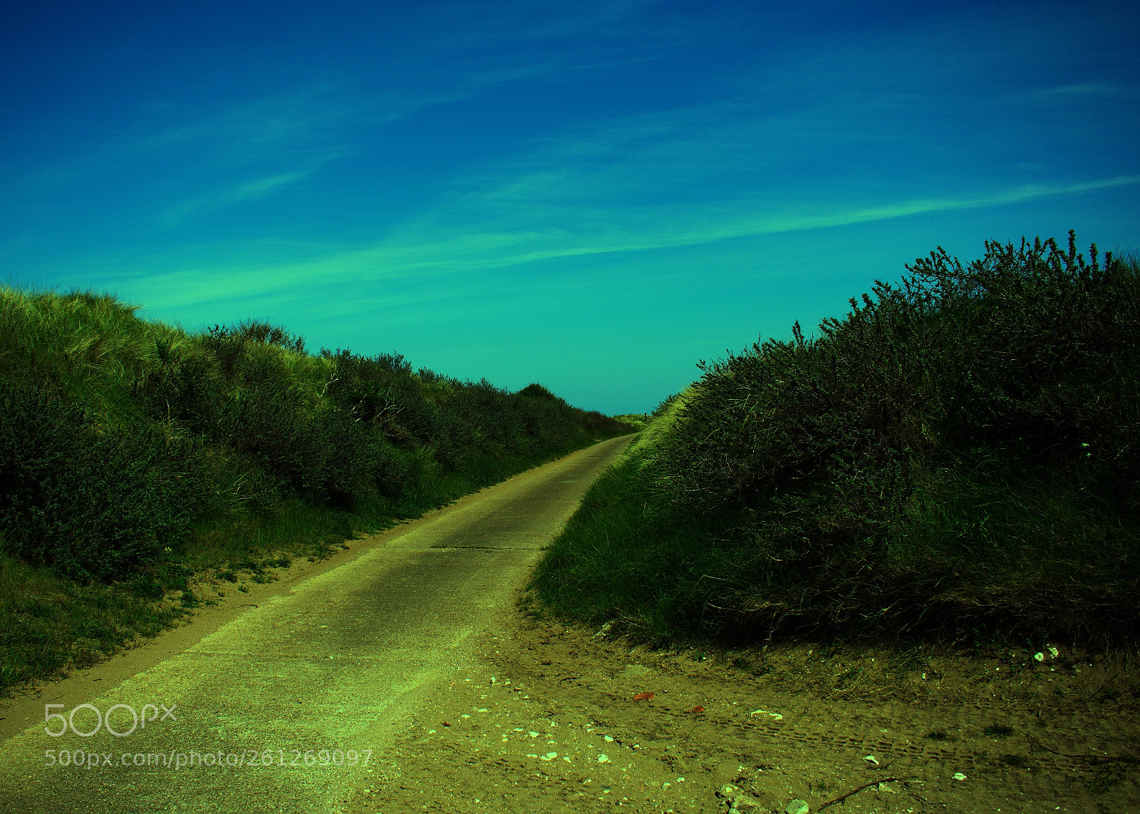 Nikon D3400 sample photo. Road to spurn point photography
