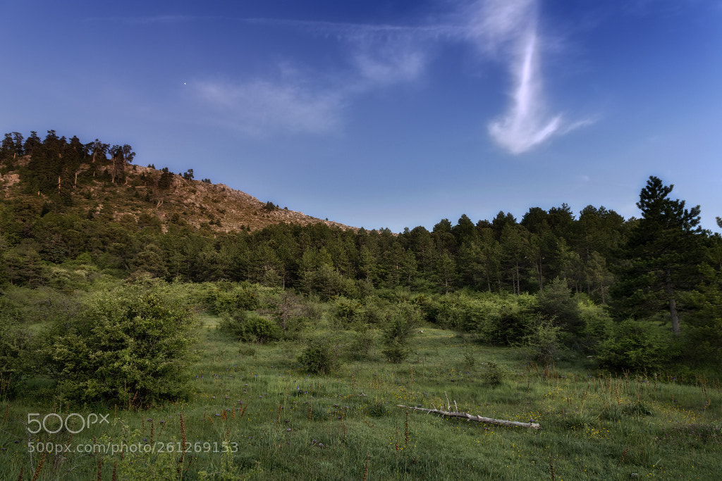 Nikon D850 sample photo. La señal photography