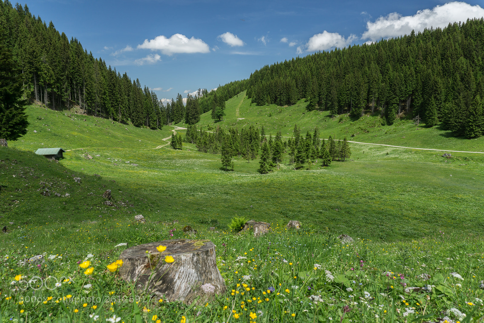 Sony a6000 sample photo. Ettaler manndl in the photography