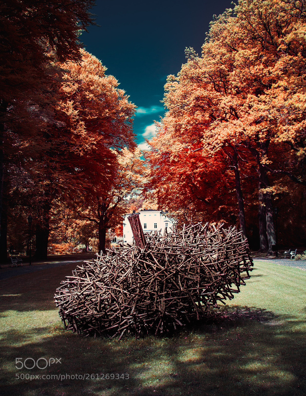 Nikon D500 sample photo. Color flip photography