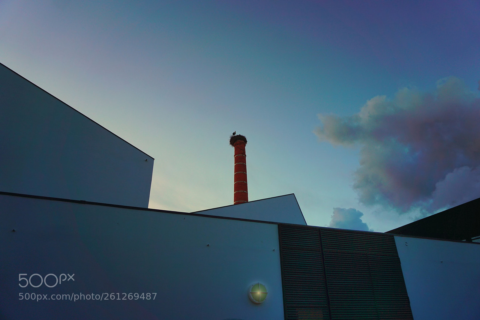 Sony a6000 sample photo. Observation by storc photography
