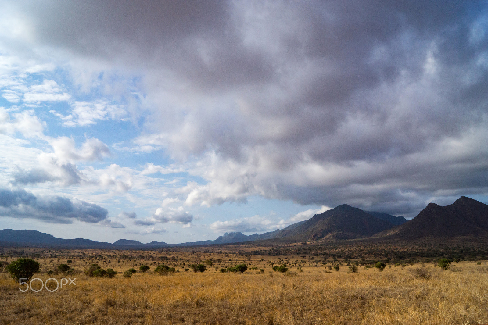 Sony SLT-A65 (SLT-A65V) sample photo. The west of tsavo photography