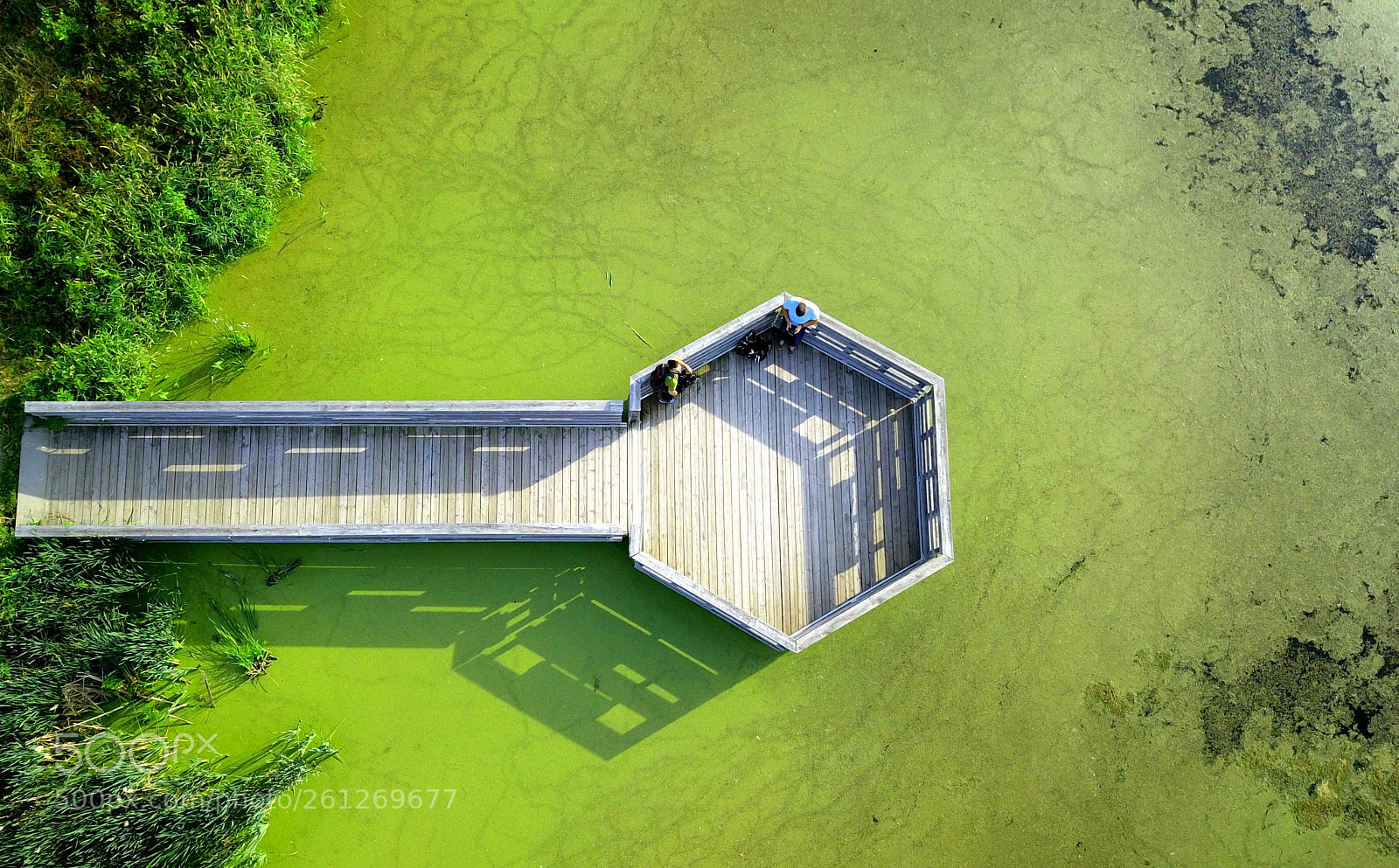 DJI FC220 sample photo. From above photography