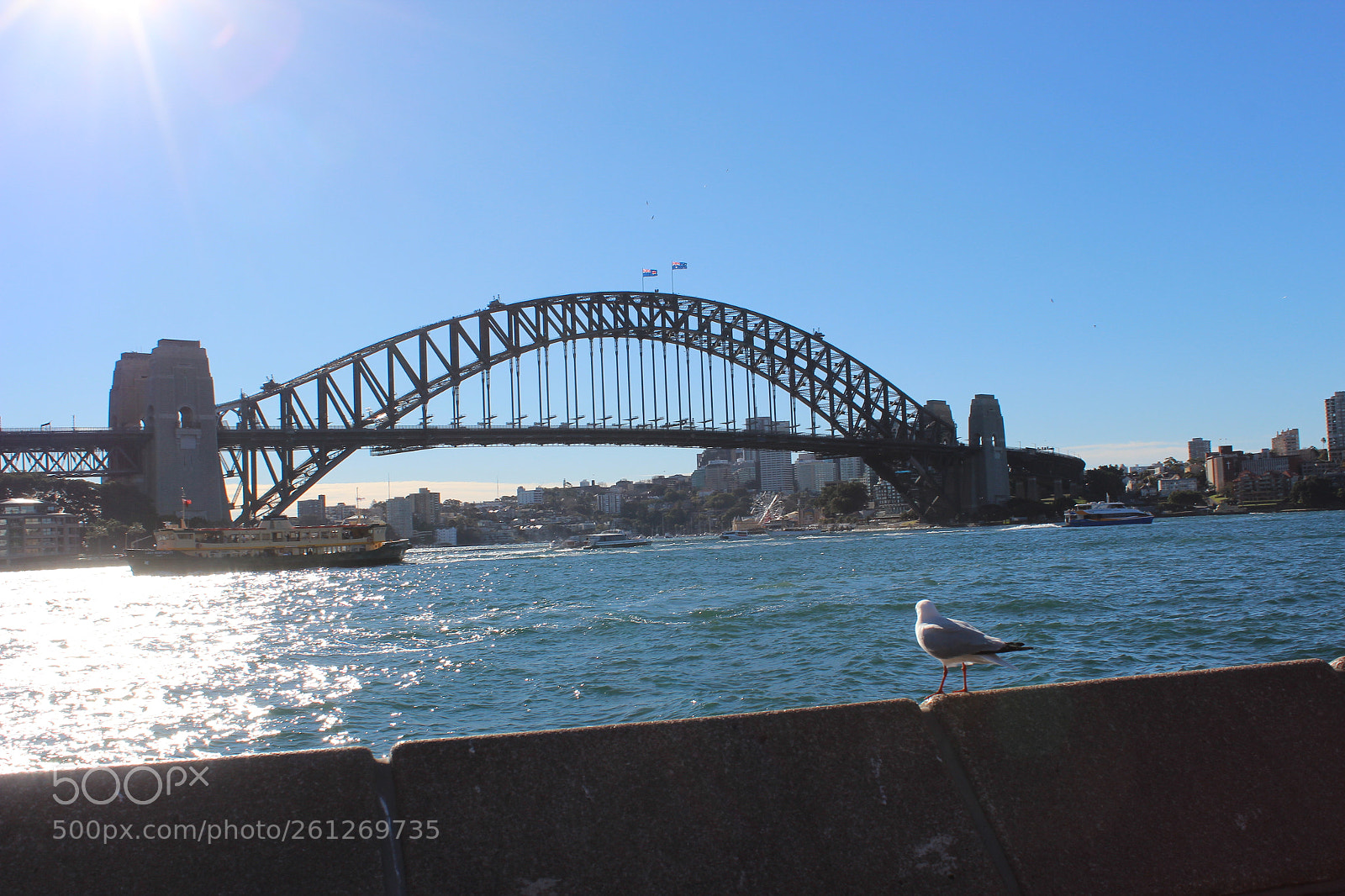 Canon EOS 600D (Rebel EOS T3i / EOS Kiss X5) sample photo. Sydney harbour bridge photography