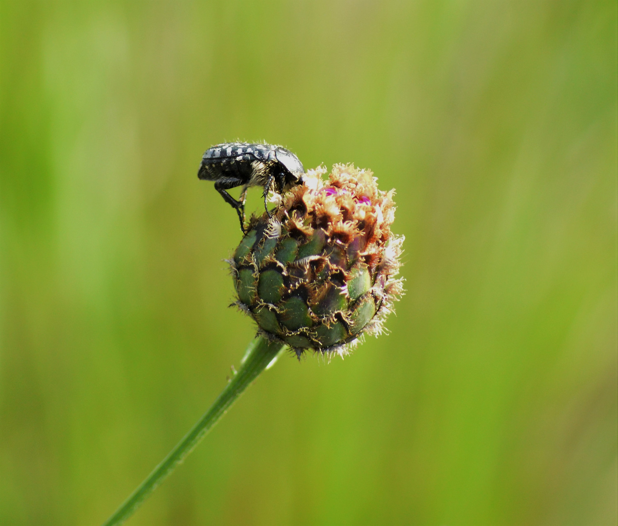 Nikon D3200 sample photo