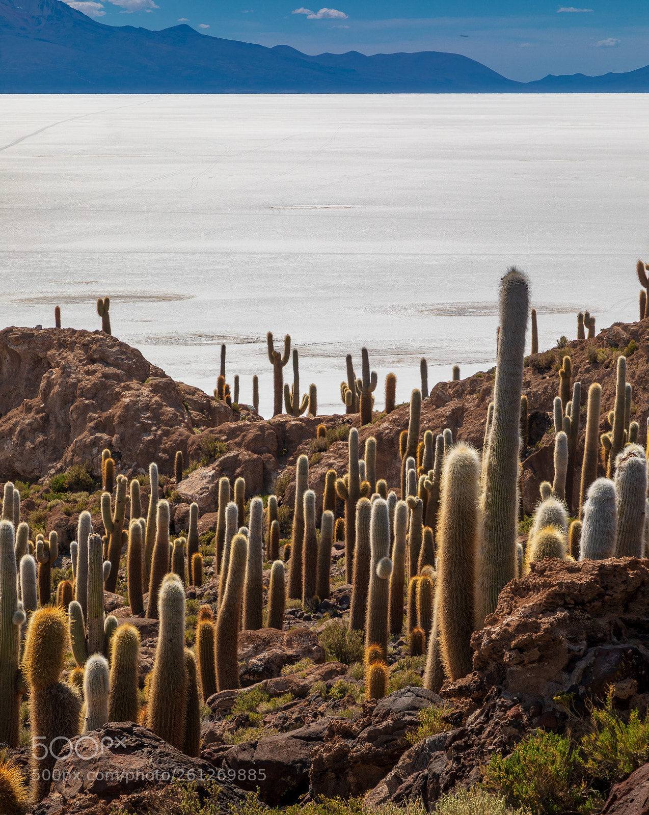 Canon EOS 5D Mark IV sample photo. Bolivia, salar de uyuni photography