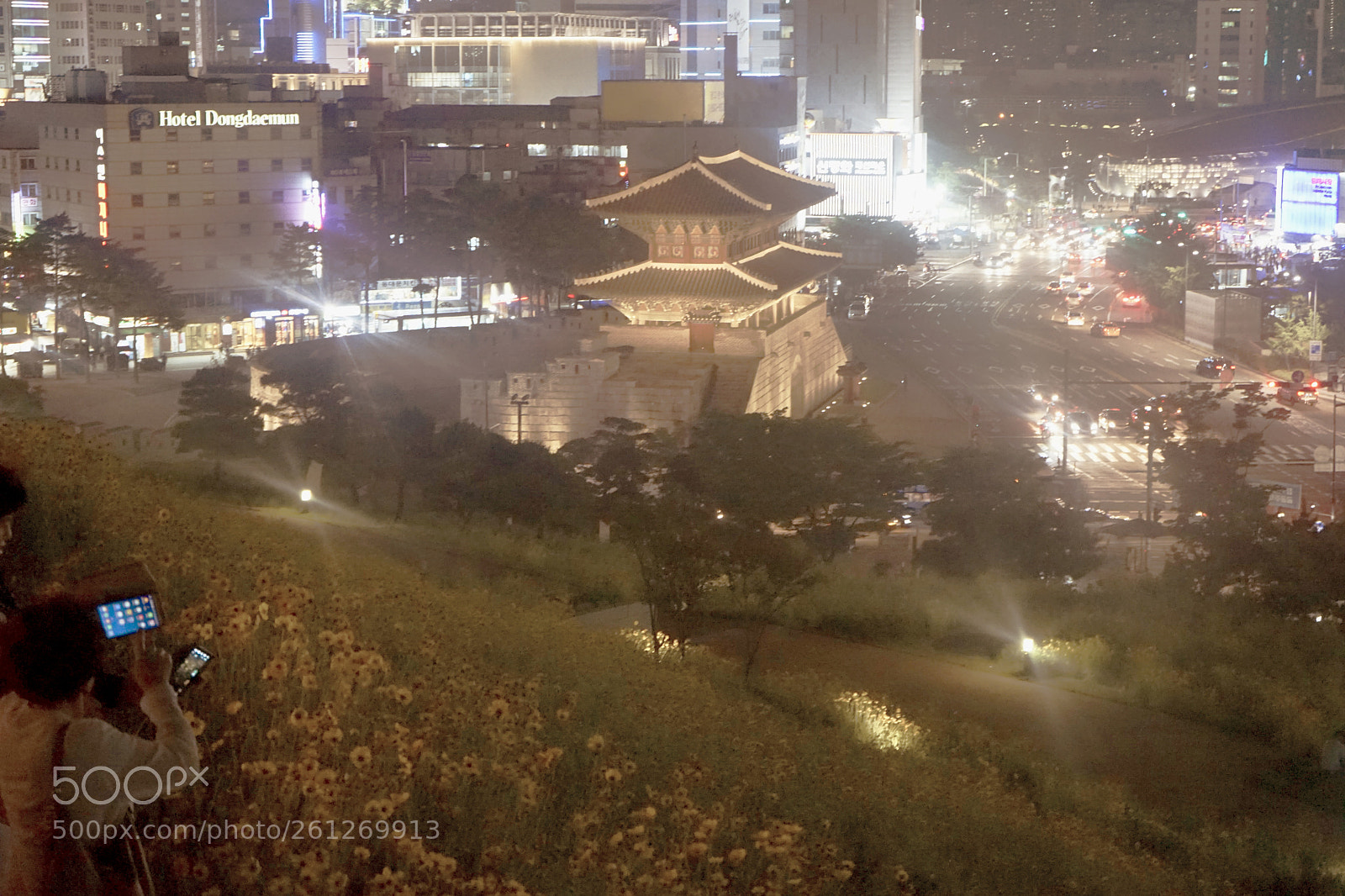 Sony a7 II sample photo. Flowers and night view photography