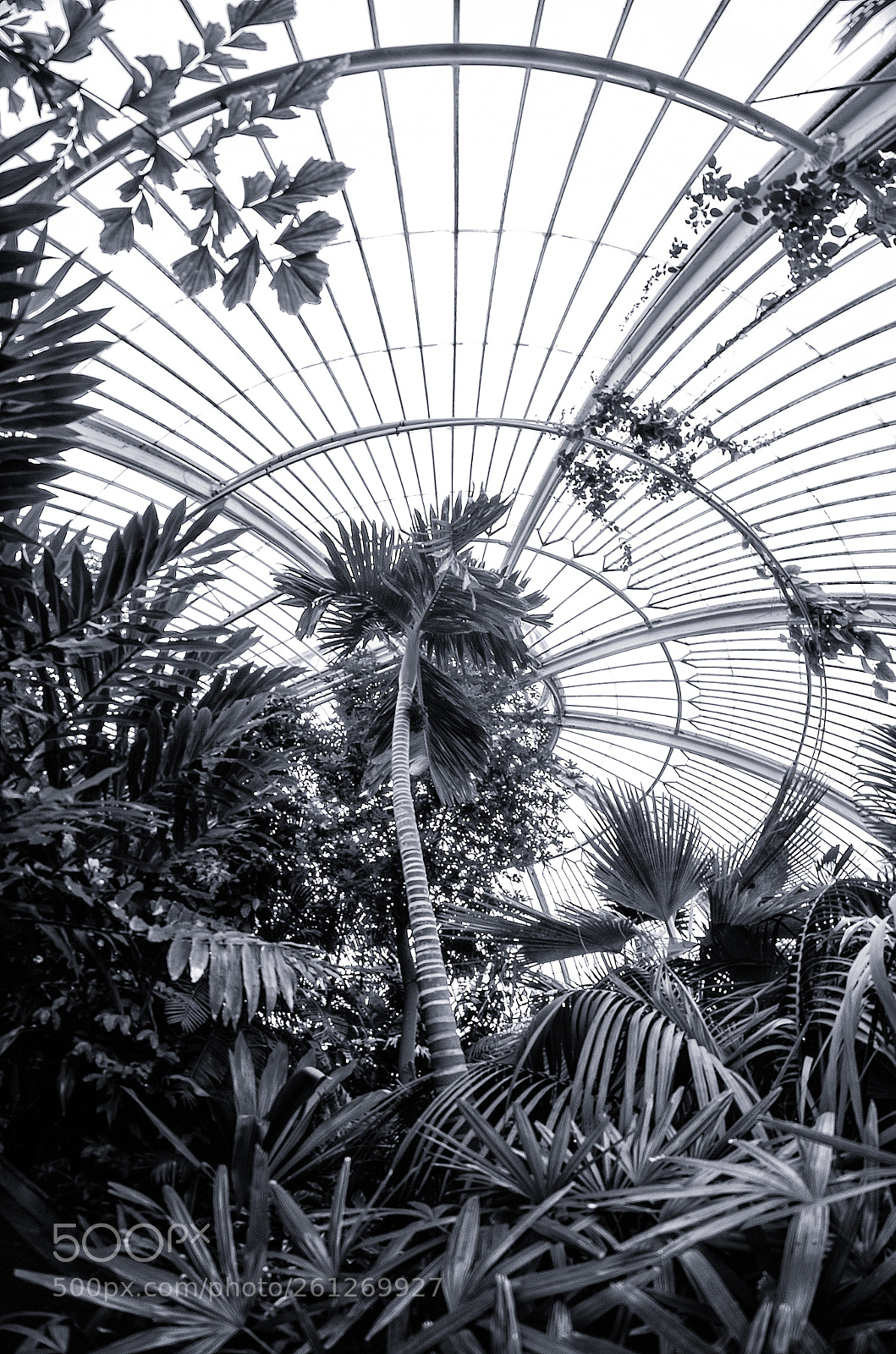 Nikon D7000 sample photo. Kew gardens photography