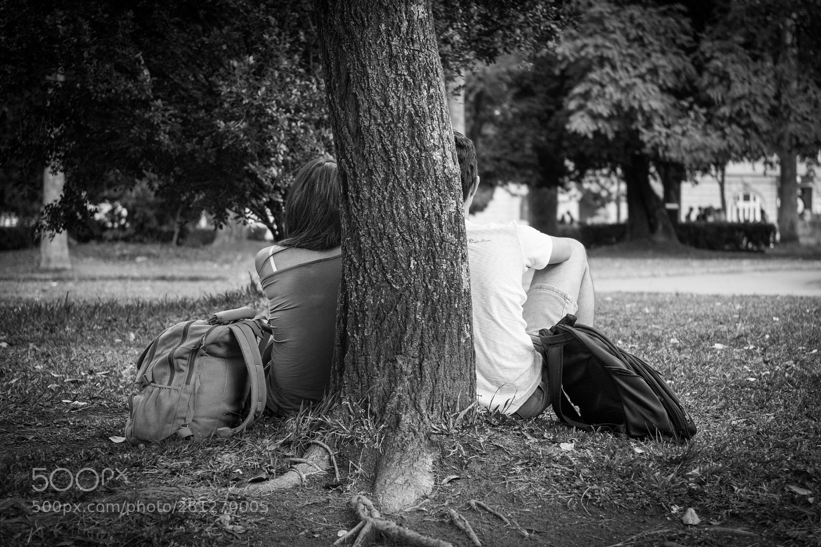 Nikon D5300 sample photo. Park rendezvous - belo photography