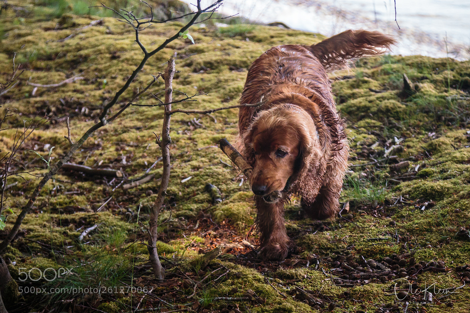 Canon EOS 7D Mark II sample photo. Victor on adventure.... photography
