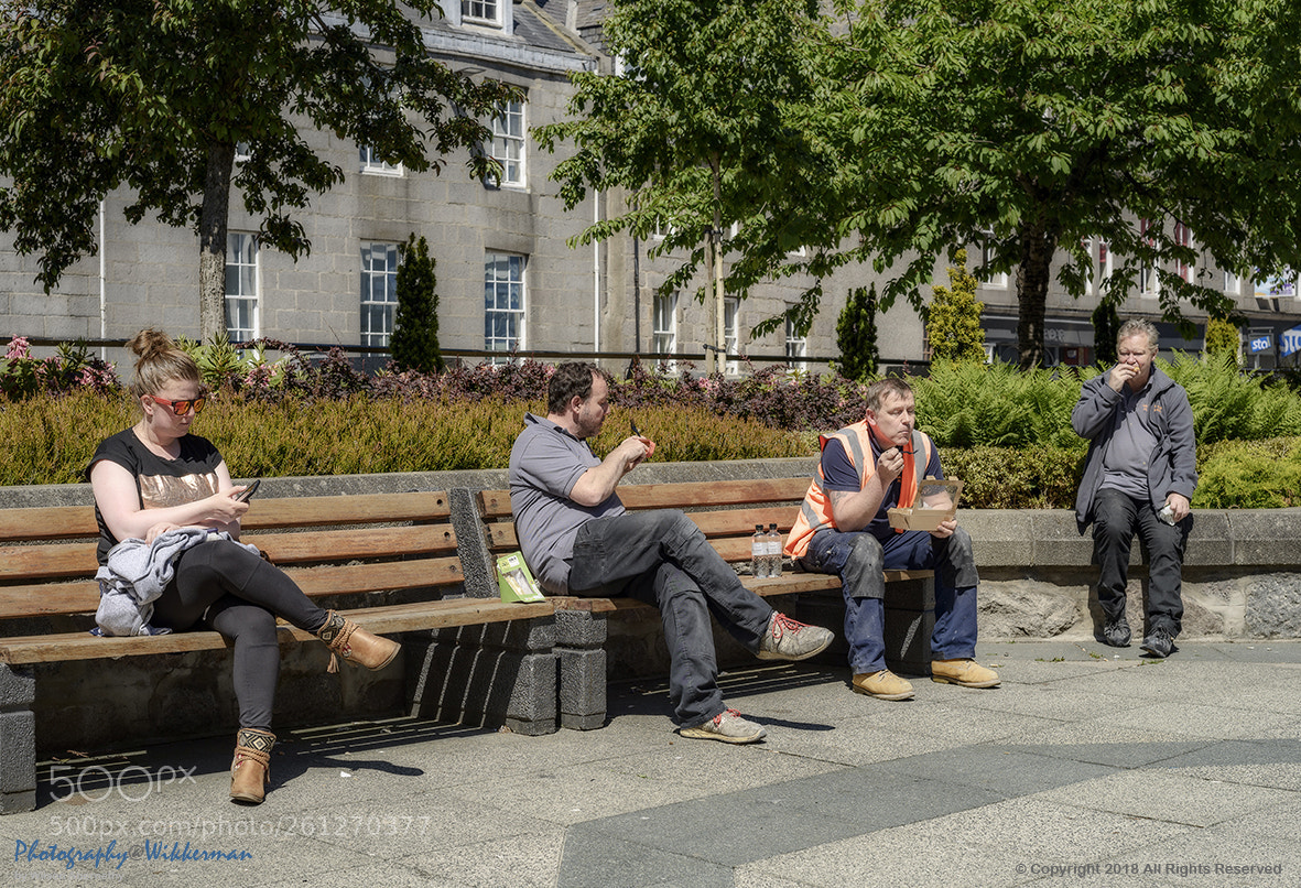 Nikon D800E sample photo. The respectable distance photography