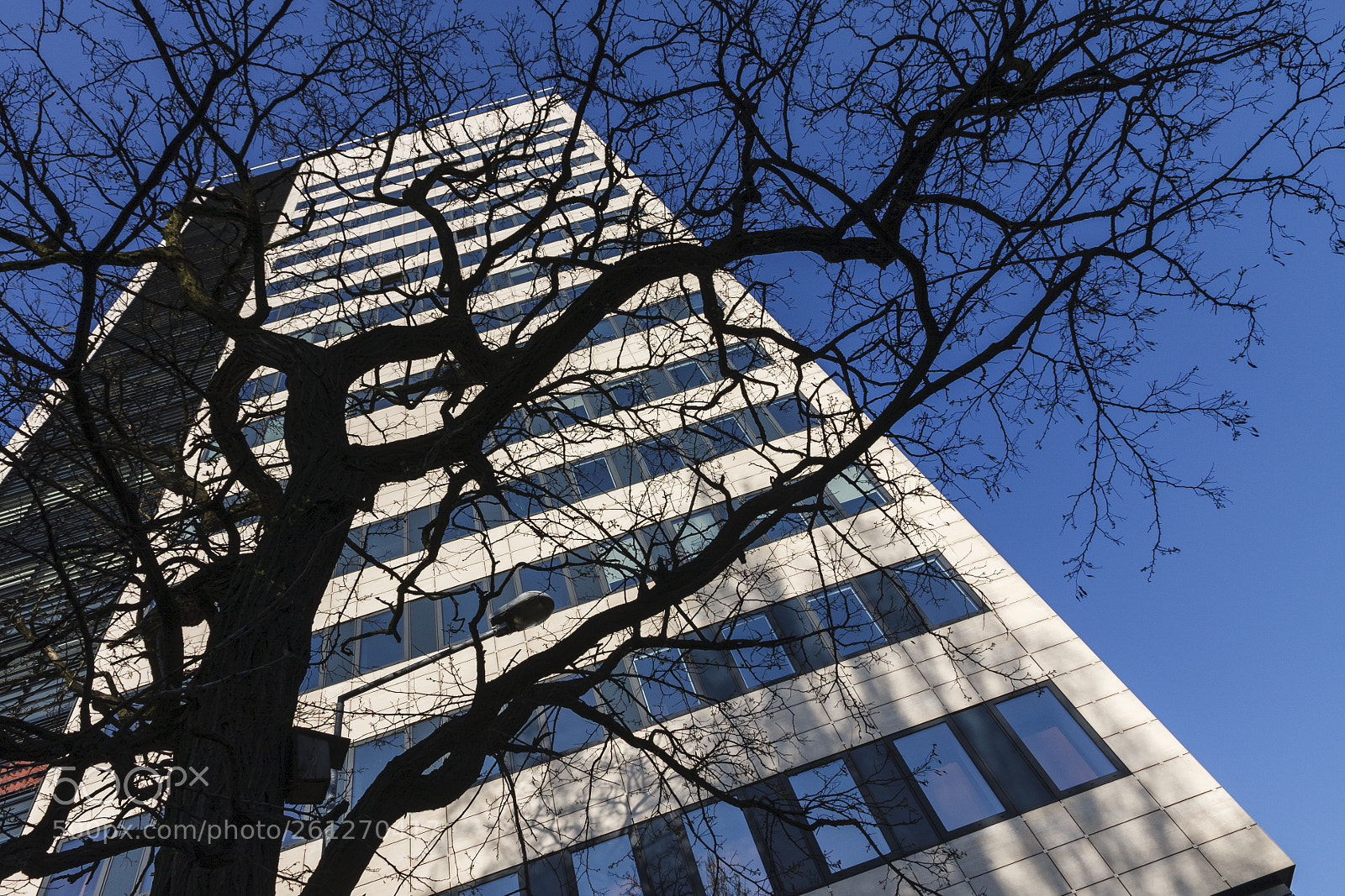 Canon EOS 40D sample photo. Looking up photography